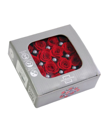 VERDISSIMO-ROSE Princesse 16P