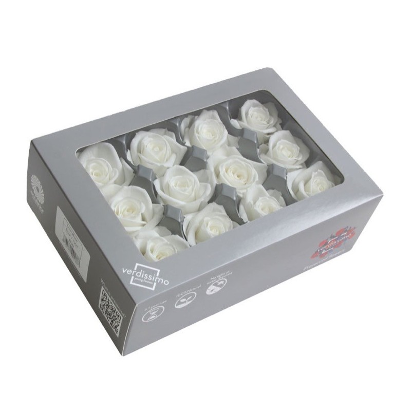 VERDISSIMO-ROSE mini 12P