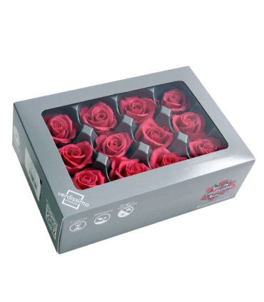 VERDISSIMO-ROSE mini 12P