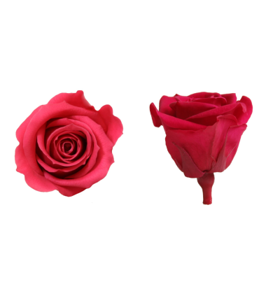 VERDISSIMO-ROSE mini 12P