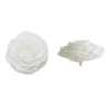 VERDISSIMO-ROSE BOITE 1P