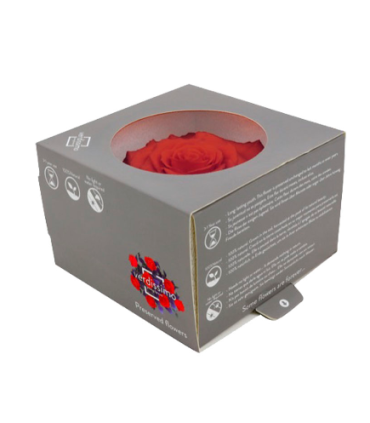 VERDISSIMO-ROSE BOITE 1P