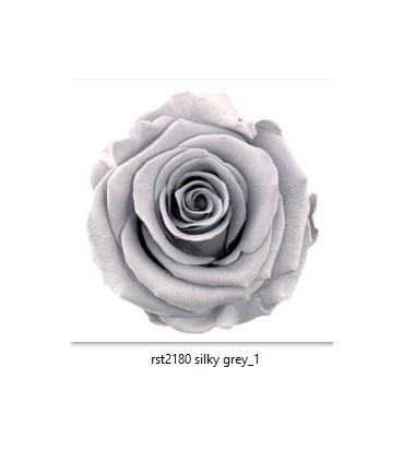 VERDISSIMO-ROSE Standard 6P