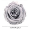 VERDISSIMO-ROSE Standard 6P