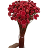 FLEUR GLIXIA-IMMORTELLE SECHEE 