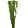 ROTIN 80CM 125GR