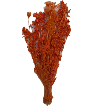 ASSORTIMENT HERBE SECHE SAC 125GR