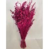 ASSORTIMENT HERBE SECHE SAC 125GR