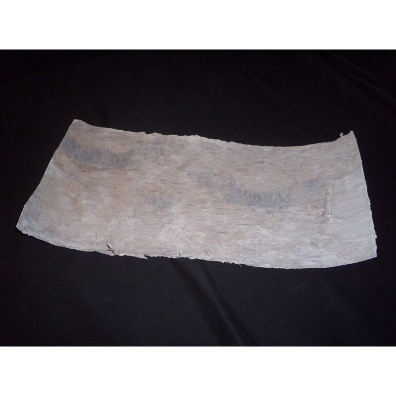 ECORCE DE BOULEAU 50X20CM couleur/5P