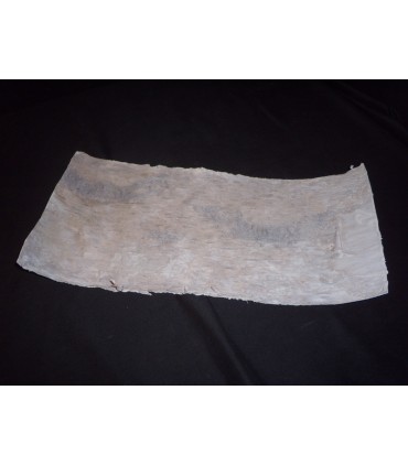 ECORCE DE BOULEAU 50X20CM couleur/5P