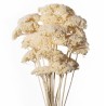 ACHILLEA SACHET 120GR