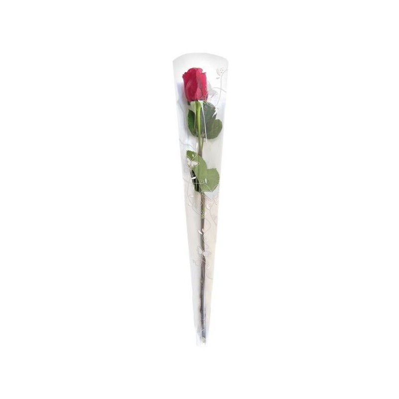 CONE A ROSE 80X14X3CM FANT. /50P