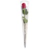 CONE A ROSE 80X14X3CM FANT. /50P