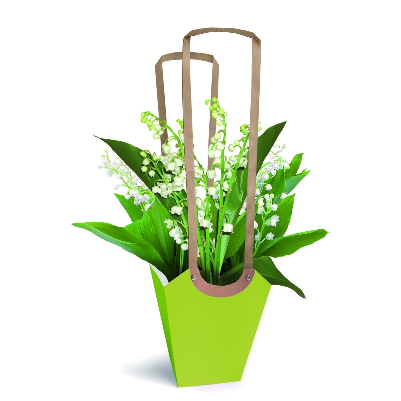 SAC AQUA POT LARGE /10P