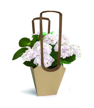 SAC AQUA POT LARGE /10P