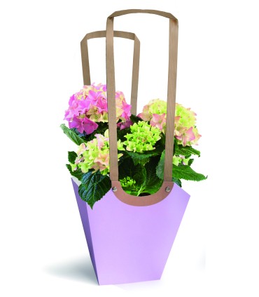 SAC AQUA POT LARGE /10P