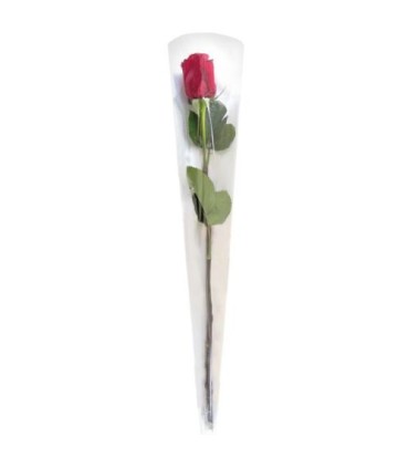 CONE A ROSE 80X14X3CM ou 76X16 / 50 PIECES