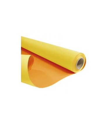 PAPIER KRAFT BICOLORE 80CM X 40M