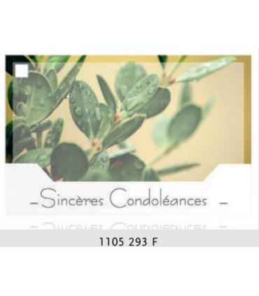 JESO CARTE "SILENZIO" / 10P