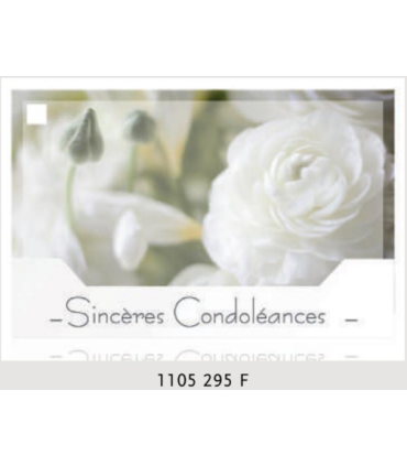 JESO CARTE "SILENZIO" / 10P