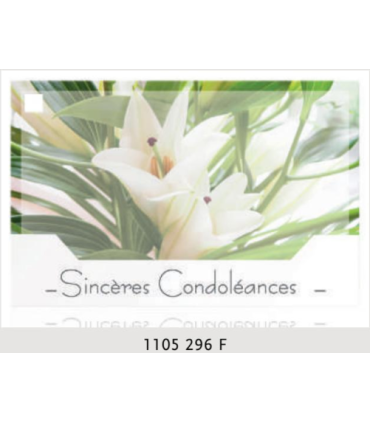 JESO CARTE "SILENZIO" / 10P