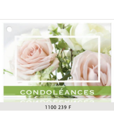 JESO CARTE "BRILLANTE"+ENVELOPPE/ 10P