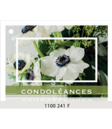 JESO CARTE "BRILLANTE"+ENVELOPPE/ 10P