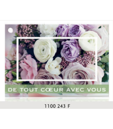 JESO CARTE "BRILLANTE"+ENVELOPPE/ 10P