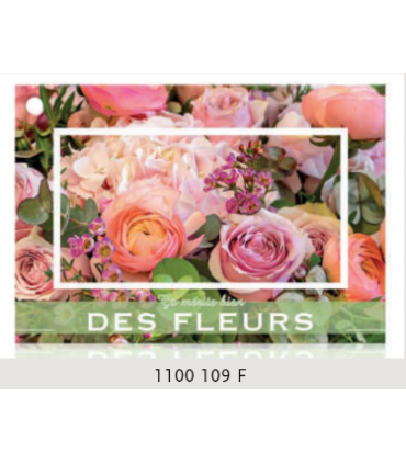 JESO CARTE "BRILLANTE"+ENVELOPPE/ 10P