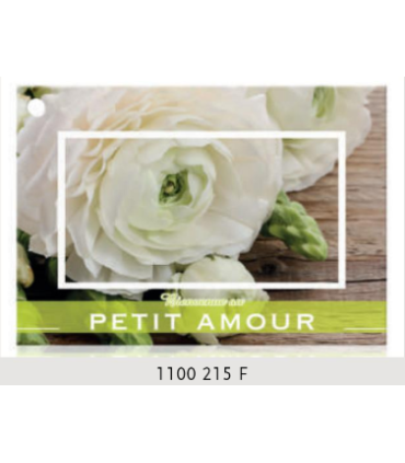 JESO CARTE "BRILLANTE"+ENVELOPPE/ 10P