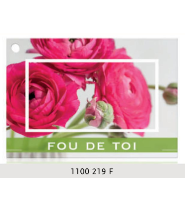 JESO CARTE "BRILLANTE"+ENVELOPPE/ 10P