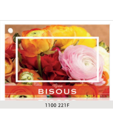 JESO CARTE "BRILLANTE"+ENVELOPPE/ 10P