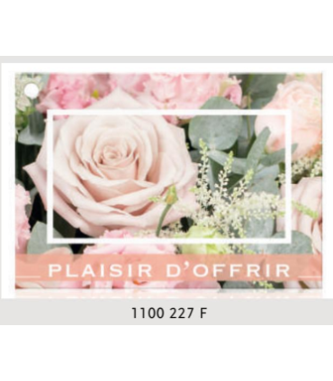 JESO CARTE "BRILLANTE"+ENVELOPPE/ 10P