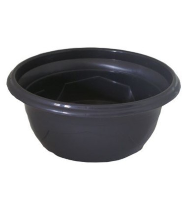 COUPE PLANTE MILLESIA GRISE 041 H14 filet de 25P