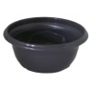 COUPE PLANTE MILLESIA GRISE 027 H12CM le filet de 25P