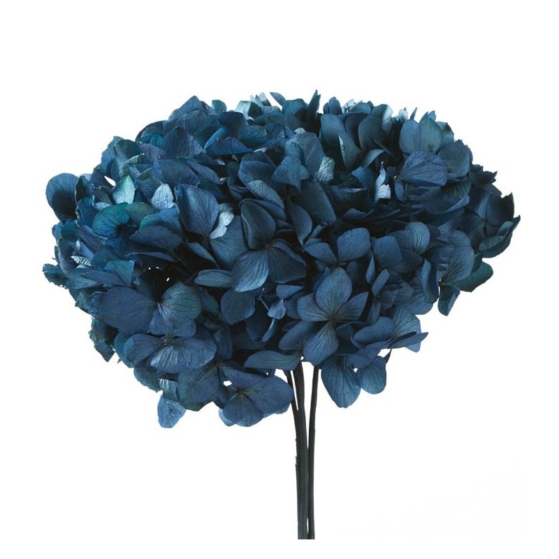 VERDISSIMO-HYDRANGEA standard à la pièce