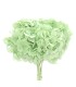 VERDISSIMO-HYDRANGEA PREMIUM à la pièce