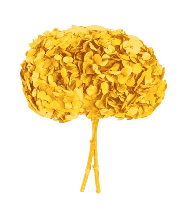 VERDISSIMO-HYDRANGEA PREMIUM à la pièce