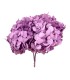 VERDISSIMO-HYDRANGEA PREMIUM à la pièce