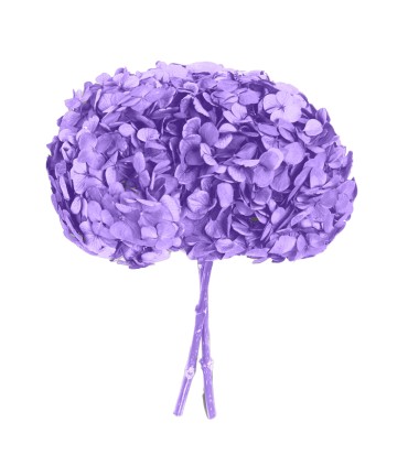 VERDISSIMO-HYDRANGEA PREMIUM à la pièce