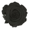 VERDISSIMO-ROSE Queen 5P