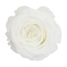 VERDISSIMO-ROSE Milieu 8P