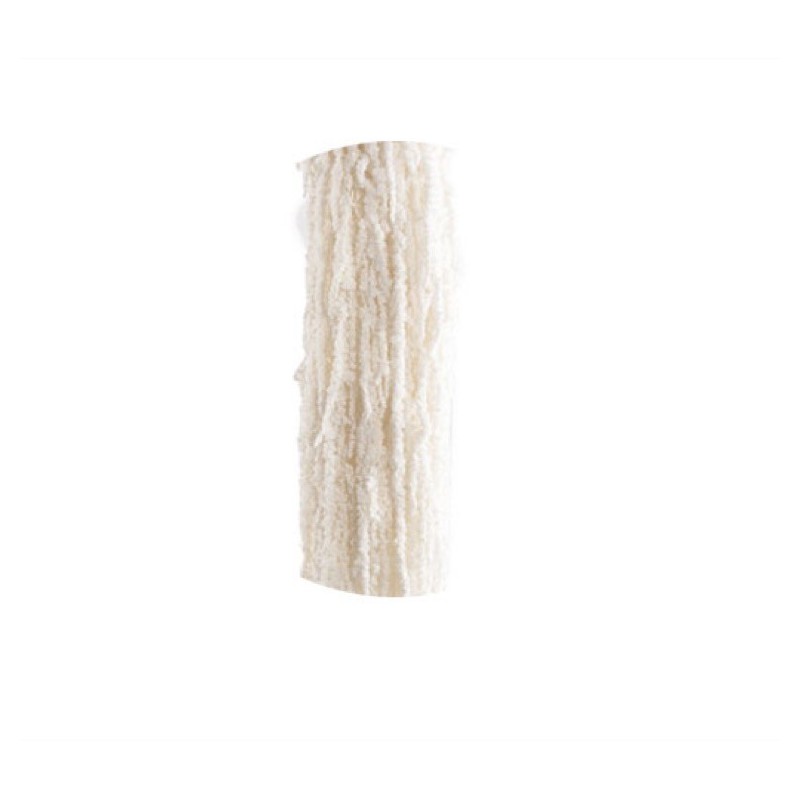 VERDISSIMO-AMARANTHUS 40/70CM