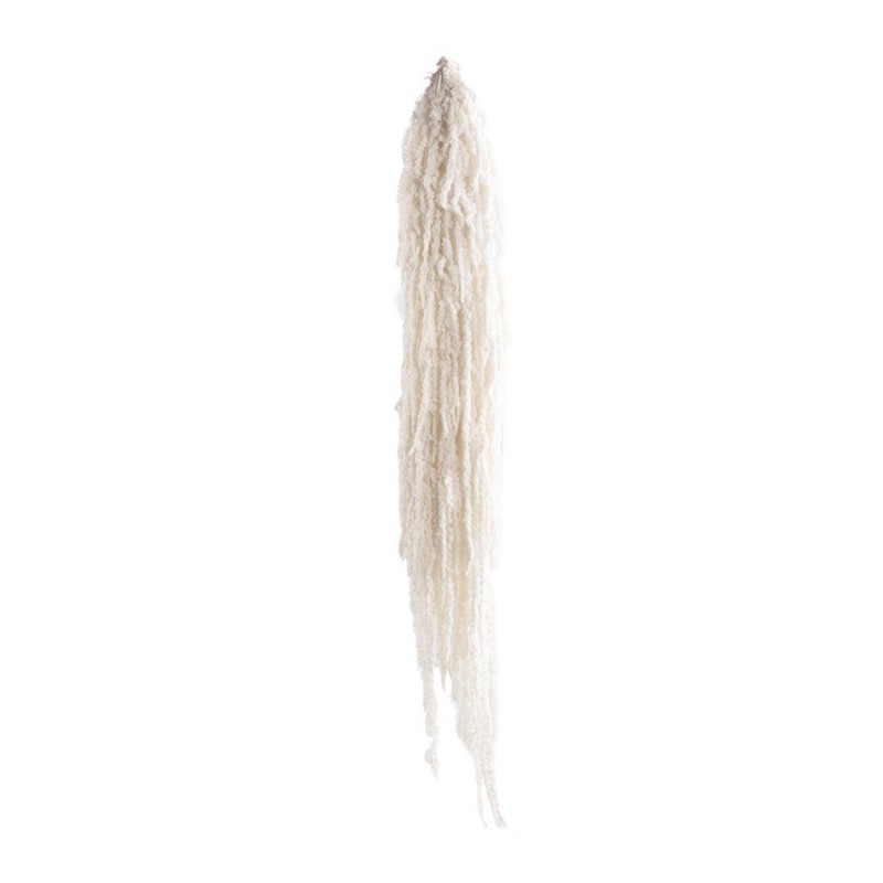 VERDISSIMO-AMARANTHUS 40/70CM