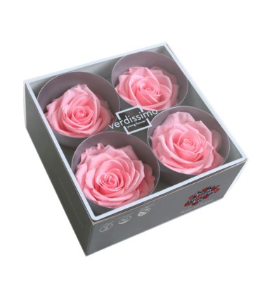 VERDISSIMO-ROSE Prémium 4P