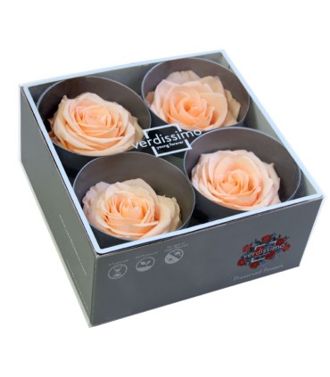 VERDISSIMO-ROSE Prémium 4P