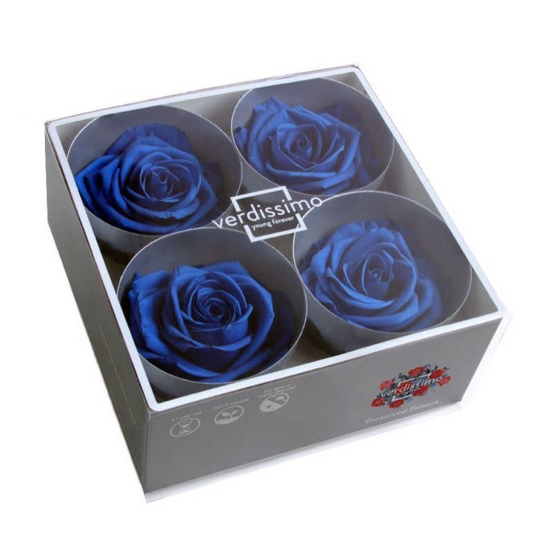 VERDISSIMO-ROSE Prémium 4P