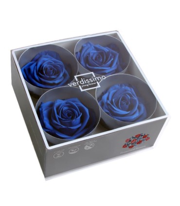 VERDISSIMO-ROSE Prémium 4P