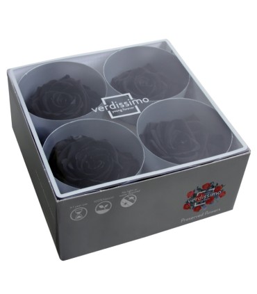 VERDISSIMO-ROSE Prémium 4P