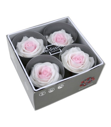 VERDISSIMO-ROSE Prémium 4P